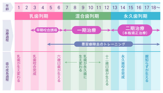 矯正歯科とは